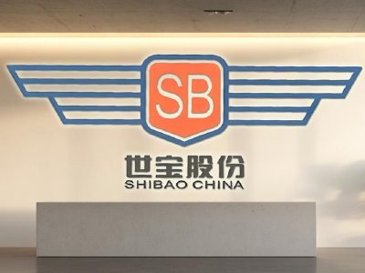 浙江世宝早盘涨逾9%公司A股直线涨停 智能驾驶迎来密集催化