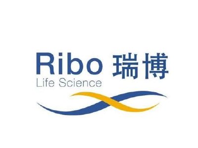 瑞博生物-B获纳入恒生综合指数成份股及获调入港股通股票名单